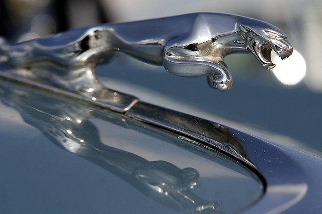 Автоцентр Jaguar хочет сделать подарок семьям мальчиков-беглецов из детсада