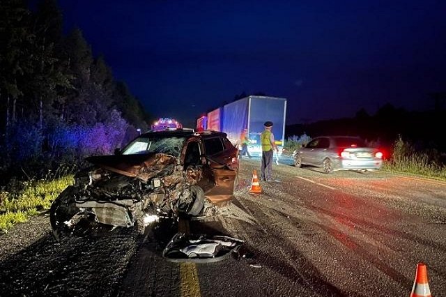 Ехавшая на море семья с детьми попала в аварию с уснувшим водителем