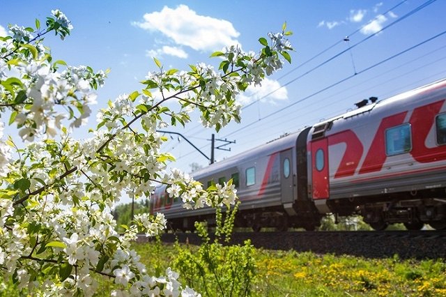 Стали известны сроки строительства важной части наземного метро в Екатеринбурге