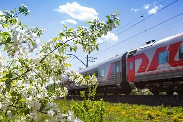 Стали известны сроки строительства важной части наземного метро в Екатеринбурге