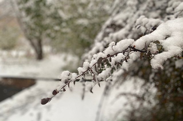 Стало известно, когда потеплеет в Свердловской области