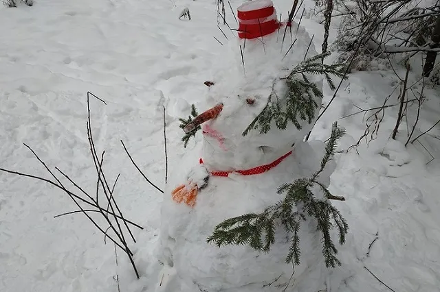 «Кто празднику рад». В Екатеринбурге забронировали почти все коттеджи на Новый год