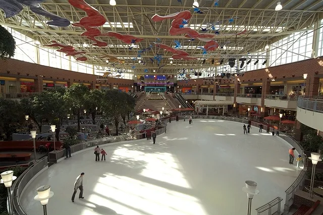 Место катков в торговых центрах «Мега» могут занять фермерские рынки