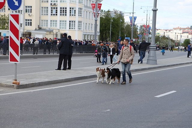 Мексика — Швеция: все о схеме движения и работе общественного транспорта
