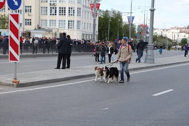 Мексика — Швеция: все о схеме движения и работе общественного транспорта