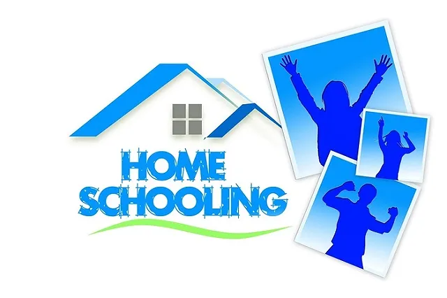 Полиция ищет шутника, который во время урока на дистанционном обучении запустил порно