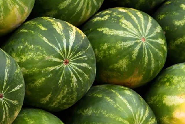 Врач назвала максимально допустимую порцию арбуза