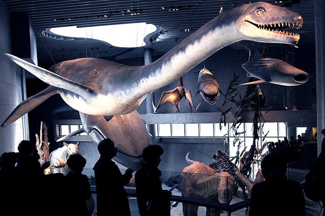 Ученые рассказали о начале массового вымирания на Земле