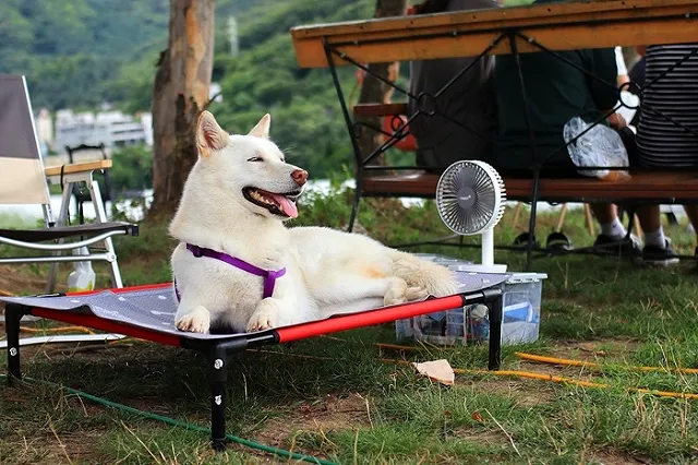 Медики рассказали, что нужно делать, чтобы легче перенести аномальную жару