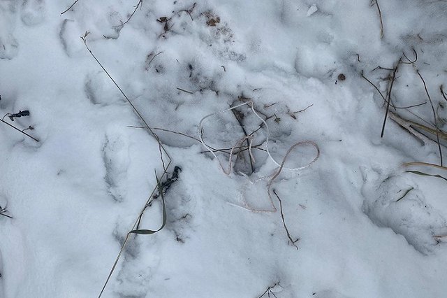 В Екатеринбурге пенсионерка обвиняется в убийстве сына. Как выносили труп, зафиксировала камера