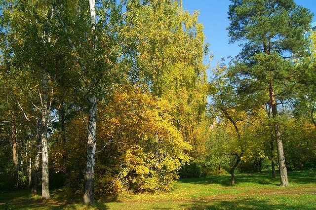 Екатеринбуржцы заработают на своей фантазии, представив лучший проект парка