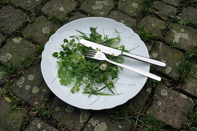 PETA назвала самую сексуальную в мире вегетарианку