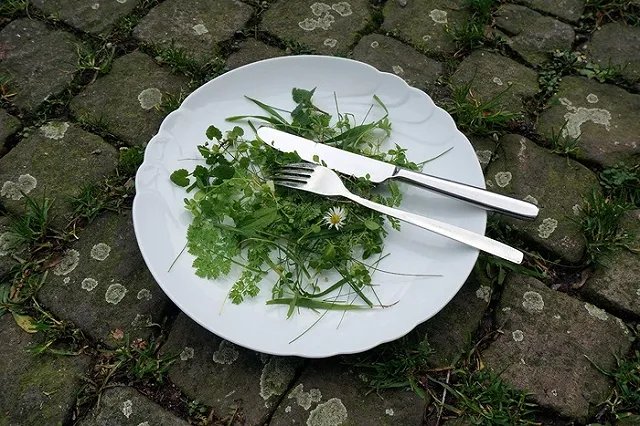 PETA назвала самую сексуальную в мире вегетарианку