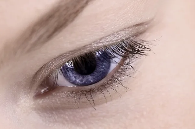 В США начнут вживлять в мозг чип для восстановления зрения