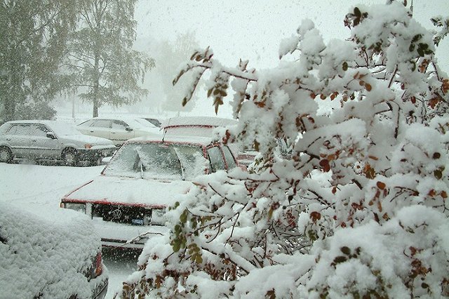 Россиянка бросила двоих детей на морозе после ссоры с мужем