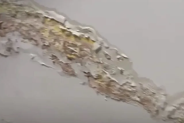 В Екатеринбурге жителей элитного дома в центре атакуют насекомые и грибы