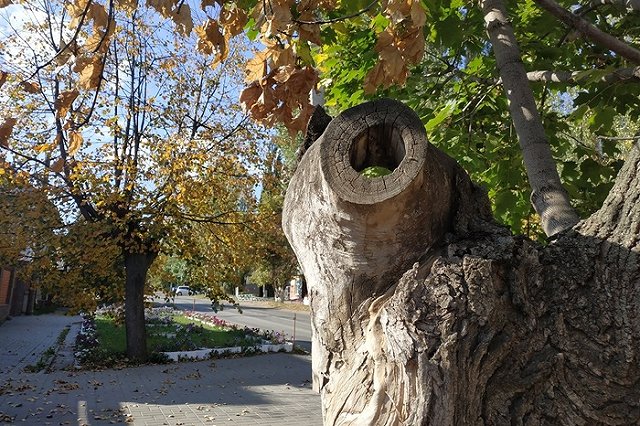В Свердловской области на ближайшие дни аномально потеплеет