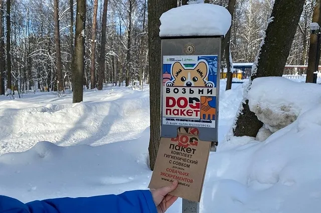 Чиновники Екатеринбурга объяснили отсутствие штрафов за собачьи экскременты