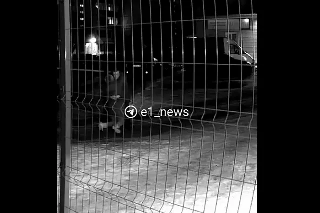 Похитивший 15-летнюю екатеринбурженку из автомобиля на улице Куйбышева обвиняется по двум статьям