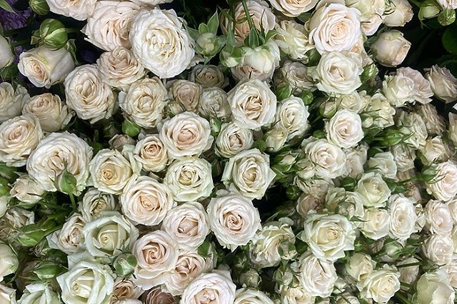 Россиян предупредили о популярной мошеннической схеме перед 8 Марта