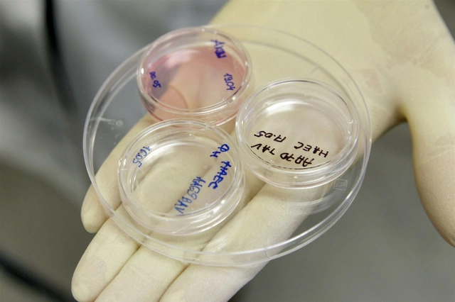 В проекте GIANT найдены гены, влияющие на рост человека