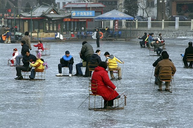 Японский парк извинился за заморозку пяти тысяч животных во льду катка