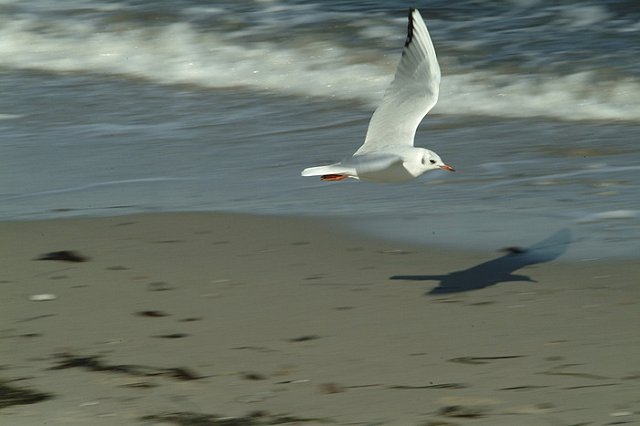 Росавиация: Украина опять пытается «влезть» в Россию