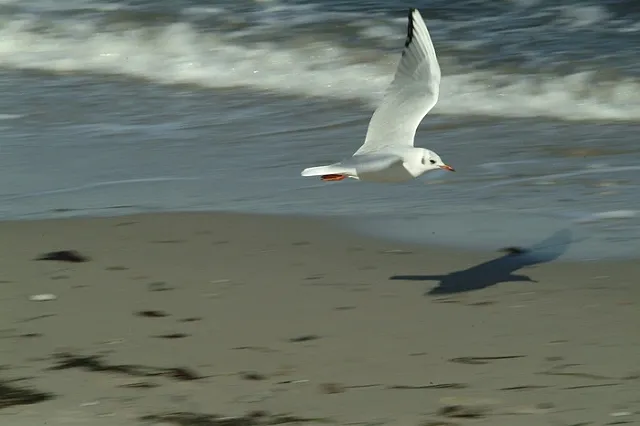 Росавиация: Украина опять пытается «влезть» в Россию