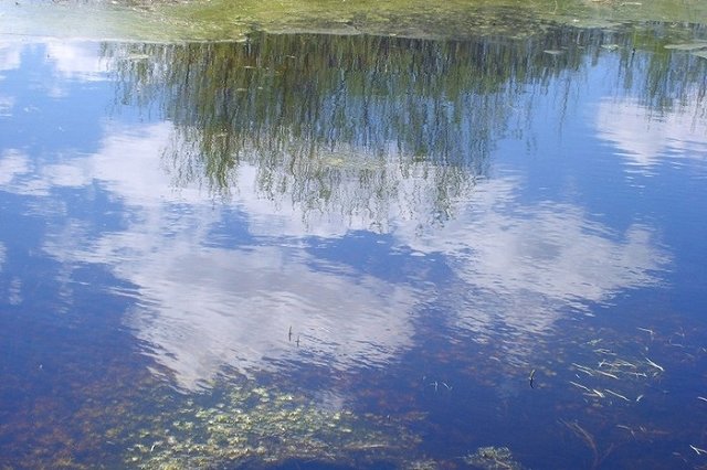 Педагог получила условный срок за гибель шестилетнего мальчика на Урале