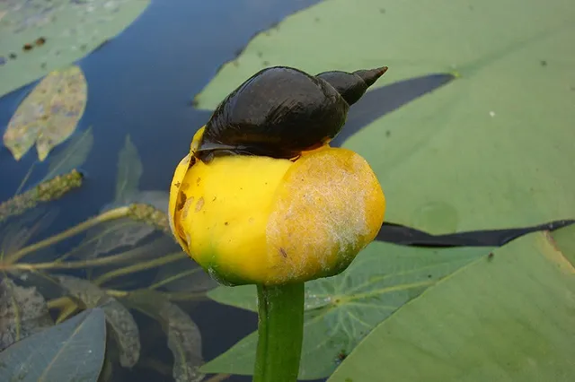 Свердловская область заняла последнее место в экологическом рейтинге регионов РФ