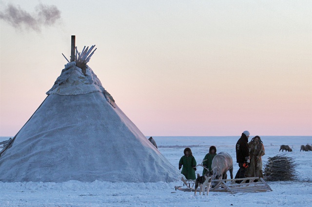 На Ямале начались поиски медведя, истерзавшего человека