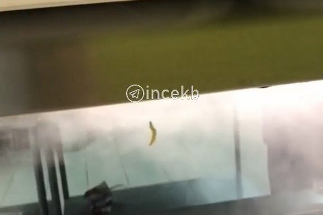 В столовой екатеринбургского колледжа обнаружили гусеницу