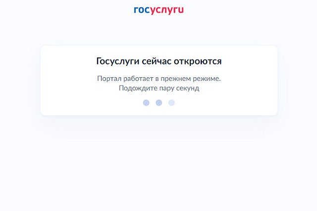 В Екатеринбурге родителей срочно попросили зарегистрировать школьников на «Госуслугах»