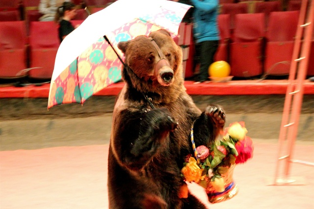 Мстислав Запашный побывал в нижнетагильском СИЗО