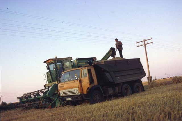 Семья судьи Свердловского облсуда отсудила 3 млн у фермеров за гибель ребенка