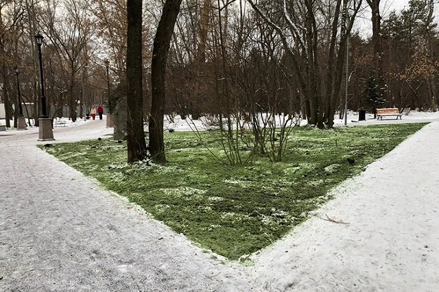 В Зелёной Роще позеленел снег