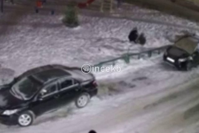 В Екатеринбурге неизвестный вырвал ёлку во дворе дома и убежал