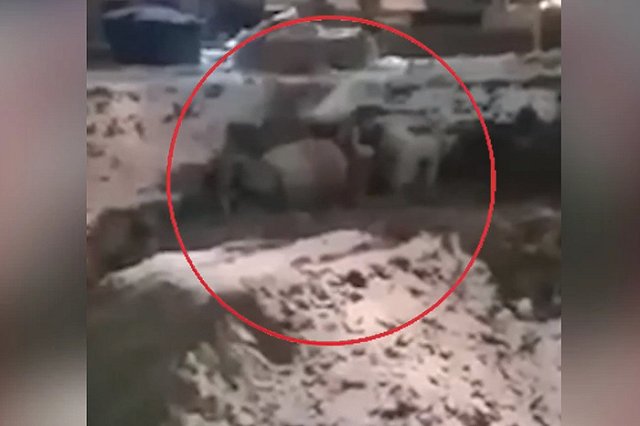 В Екатеринбурге поскользнулась и упала бетономешалка