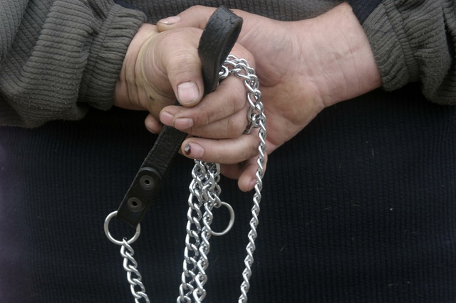 Уральцы сообщают о первых жертвах акции догхантеров