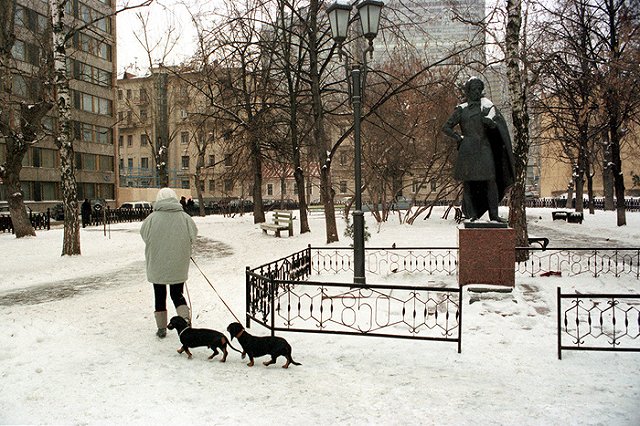 В соцсетях возмутились экспериментом Рогозина с «утоплением» таксы