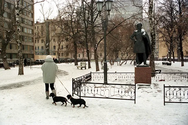 В соцсетях возмутились экспериментом Рогозина с «утоплением» таксы
