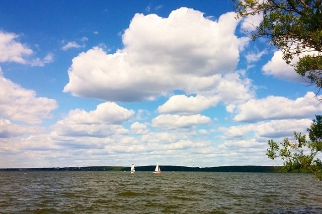 Больше десяти человек готовы занять пост директора Шарташского лесопарка