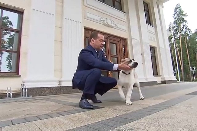 Медведев назвал политику Запада в отношении России «отвратительным коктейлем»