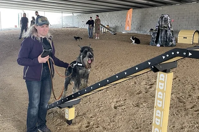 В центре Екатеринбурга появилась площадка с тренажёрами для собак