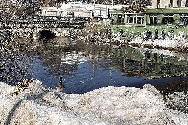 Мужчина утонул в реке Исеть в Екатеринбурге