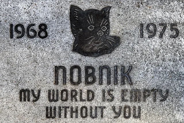 Британец похоронил жену на кладбище домашних животных