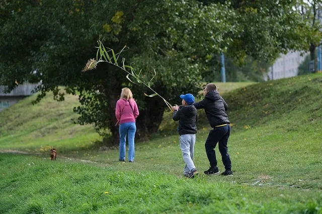 Многодетная свердловчанка смогла вернуть детей, которых силой забрала опека