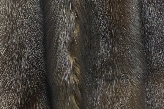 Уральцы массово выбрасывают натуральные шубы и дубленки на свалку