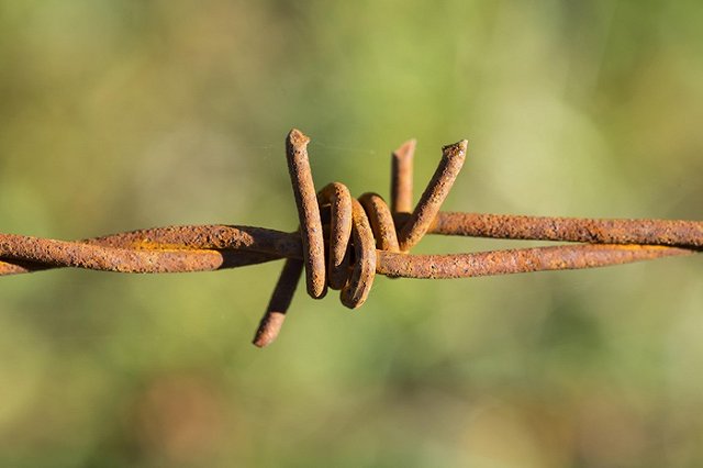 Жительница Троицка осуждена за сексуальное насилие над 9-летним сыном