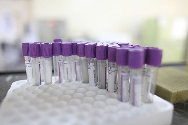 Аргентинская семья клонировала домашнего пса